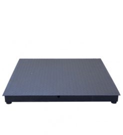 Radwag 電子地磅 WPT/4C